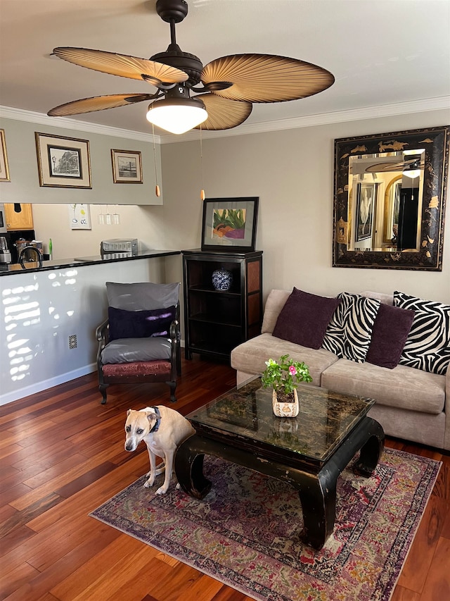 living room with ceiling fan, dark hardwood / wood-style floors, and ornamental molding