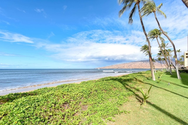 view of water feature with a beach view