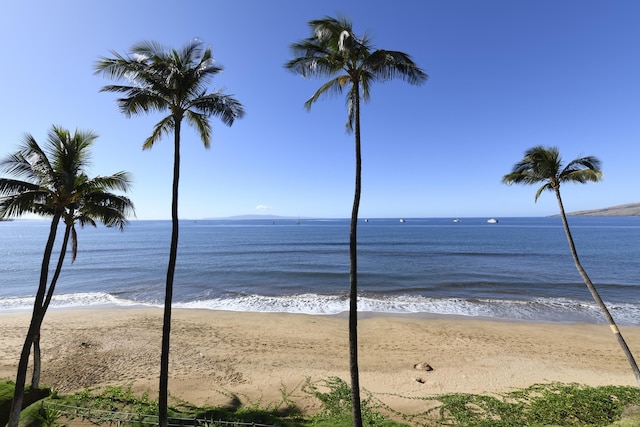 view of water feature featuring a beach view