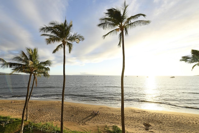 water view with a view of the beach