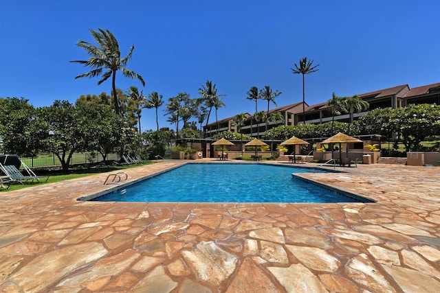 view of swimming pool with a patio