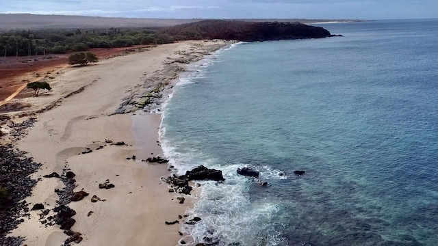 50 Kepuhi Pl Unit 103, Maunaloa, HI 96770 - aerial view of unending shoreline