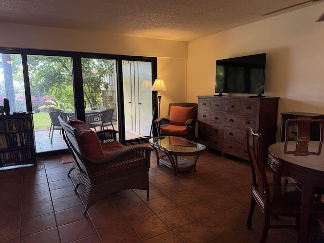 50 Kepuhi Pl Unit 103, Maunaloa, HI 96770 - living area featuring dark tile patterned floors and a textured ceiling