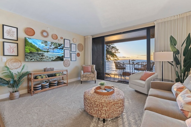 carpeted living room featuring a wall of windows