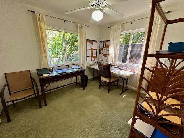 carpeted office with ceiling fan