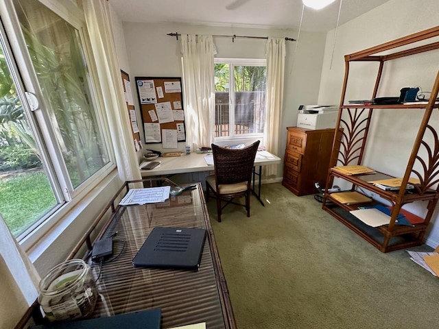 view of carpeted office space