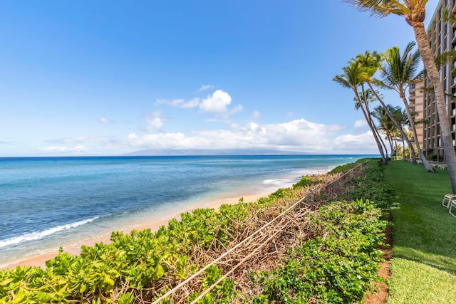 110 Kaanapali Shores Pl Unit 308, Lahaina, HI 96761 - water view featuring local beach