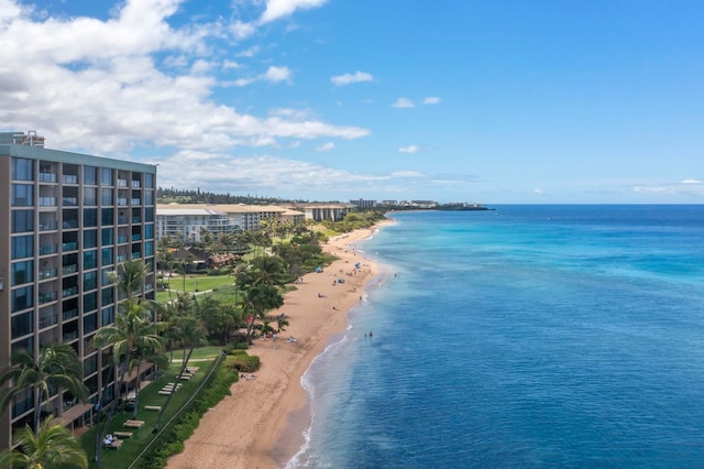 110 Kaanapali Shores Pl Unit 308, Lahaina, HI 96761 - water view with local beach