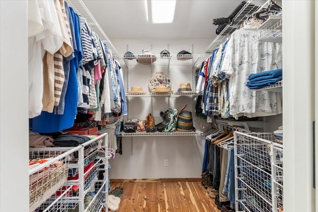 walk in closet with hardwood / wood-style flooring