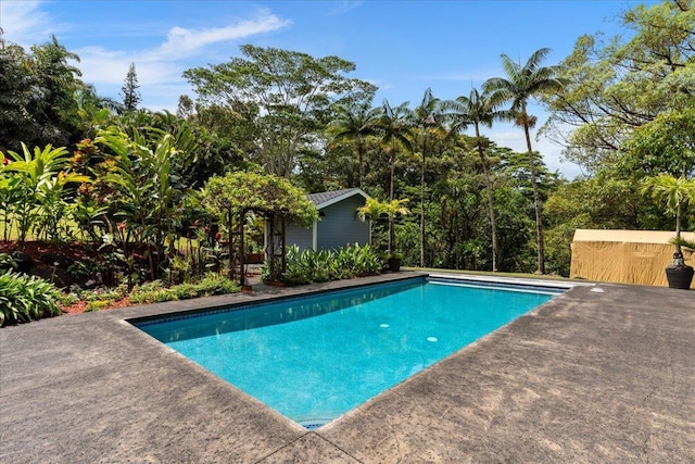 view of swimming pool with a patio area