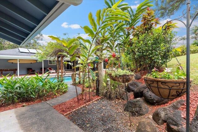 view of yard with a patio