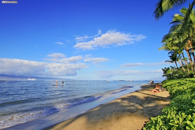 view of water feature with a beach view