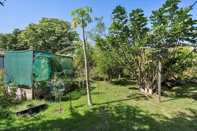 view of yard featuring an outdoor structure