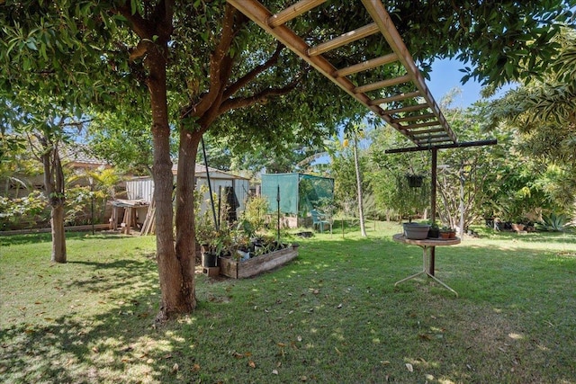 view of yard with a vegetable garden