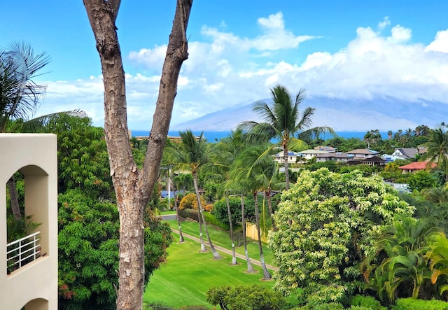 view of yard featuring a mountain view