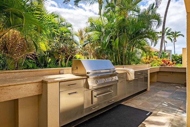 view of patio / terrace with area for grilling and grilling area