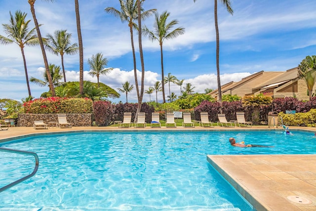 view of pool featuring a patio