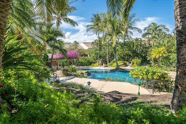 view of pool featuring a patio