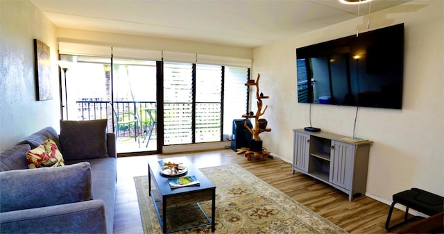 living room with wood-type flooring