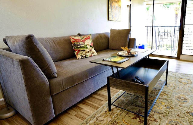 living room with light wood-type flooring and a healthy amount of sunlight