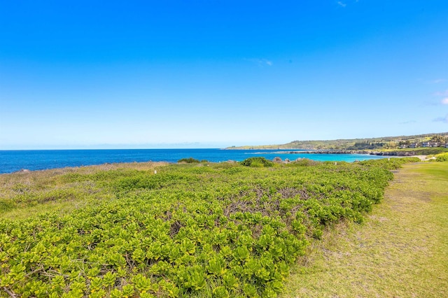 property view of water