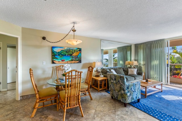 dining space featuring a wealth of natural light and a textured ceiling