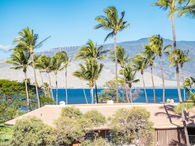 water view featuring a mountain view