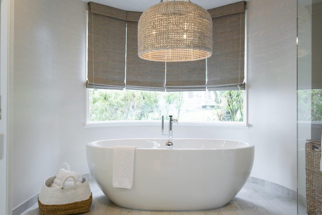 bathroom with a healthy amount of sunlight and a washtub