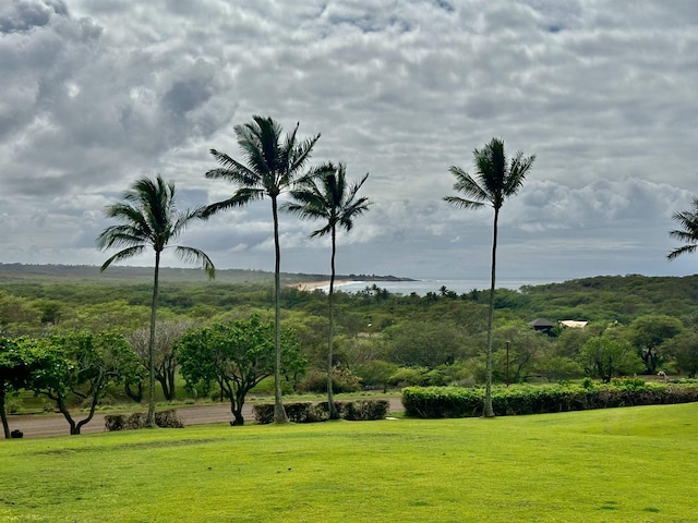 surrounding community with a yard and a water view