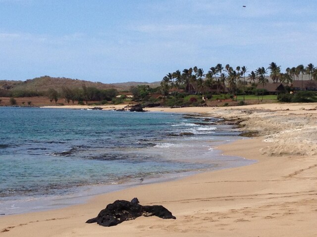 view of water feature featuring a beach view