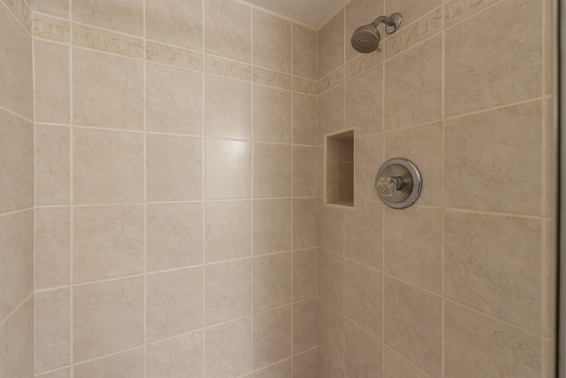 room details featuring tiled shower