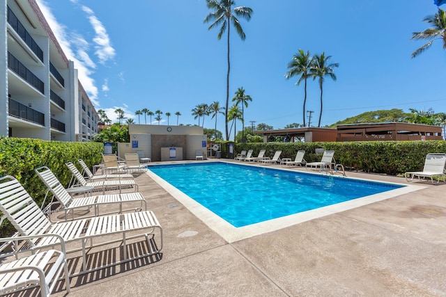 view of swimming pool with a patio