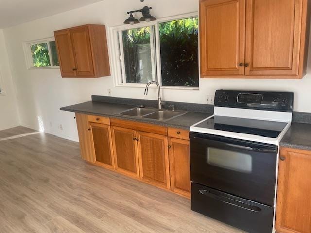 kitchen featuring black range with electric cooktop, a sink, light wood-type flooring, brown cabinets, and dark countertops