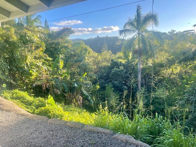 view of mountain feature featuring a wooded view