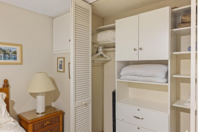 2385 S Kihei Rd Unit 306, Kihei, HI 96753 - view of closet