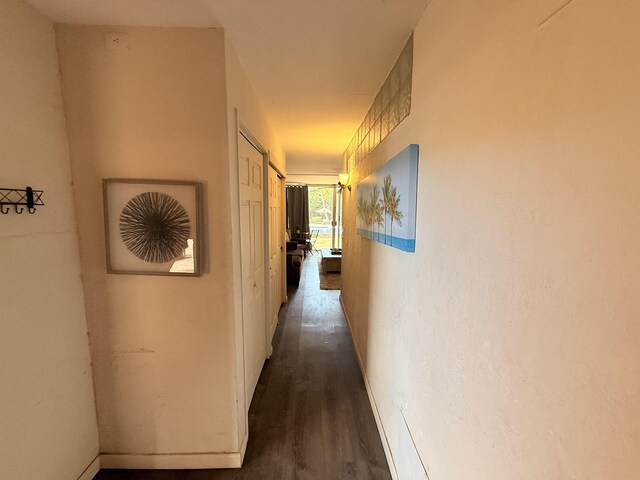 3660 Lower Honoapiilani Rd Unit 111, Lahaina, HI 96761 - hallway featuring dark wood finished floors