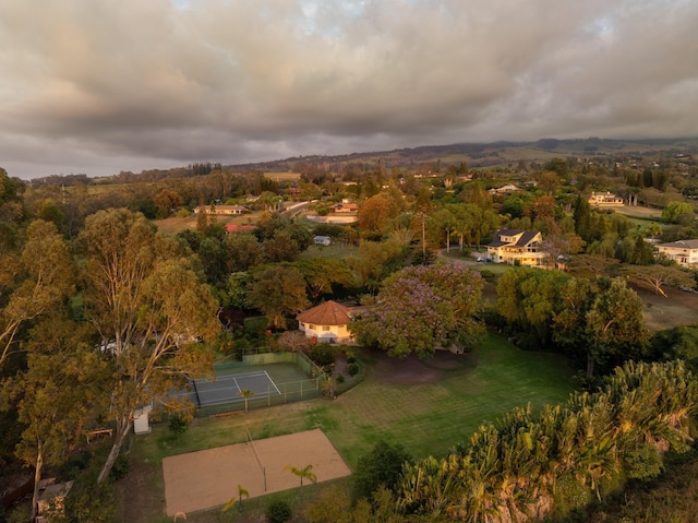 drone / aerial view