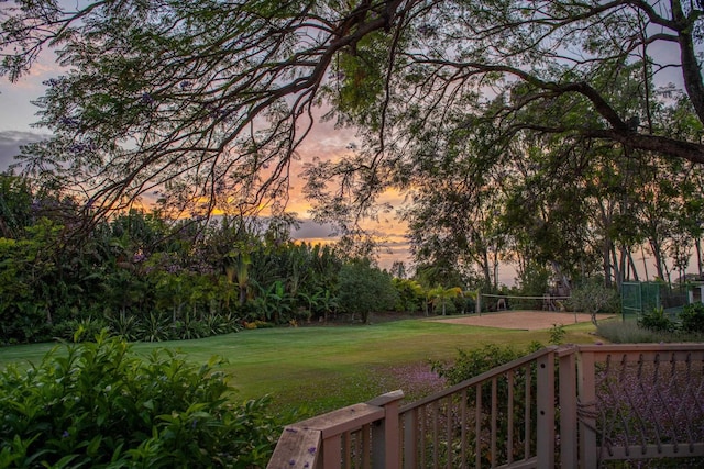 view of yard featuring volleyball court