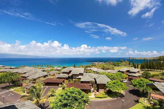 drone / aerial view with a water view and a residential view