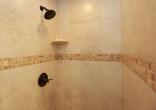 room details with tiled shower