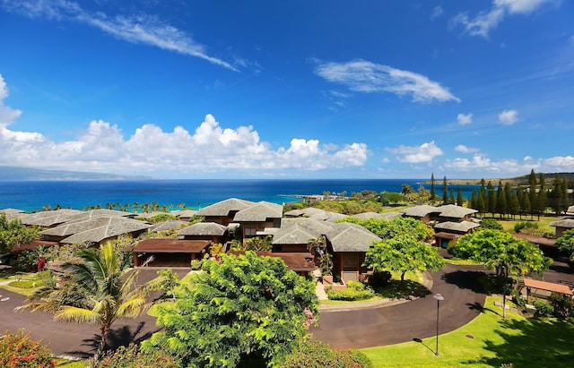 water view with a residential view