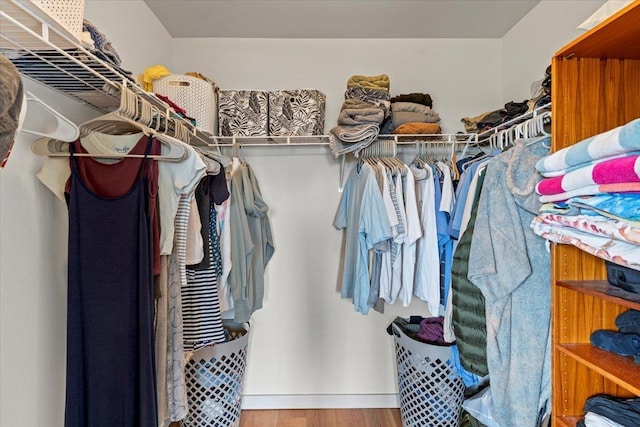 spacious closet with hardwood / wood-style flooring