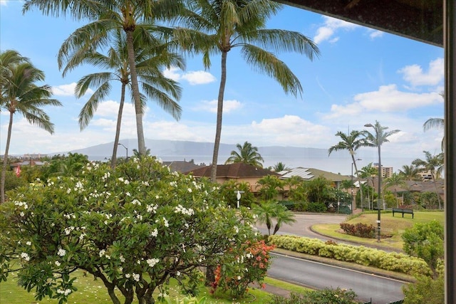 surrounding community featuring a mountain view