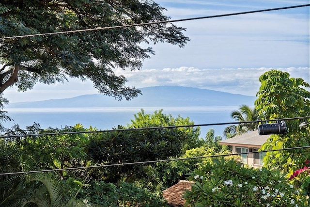 view of yard with a water and mountain view