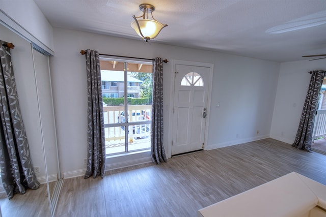 480 Kenolio Rd Unit 23-202, Kihei, HI 96753 - foyer featuring wood finished floors, healthy amount of natural light, and ceiling fan