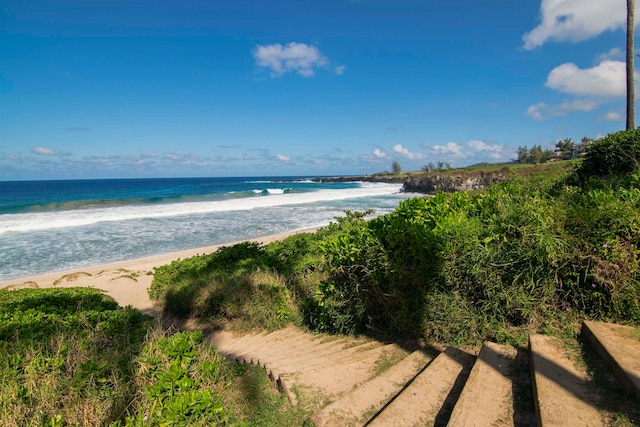 water view featuring a beach view