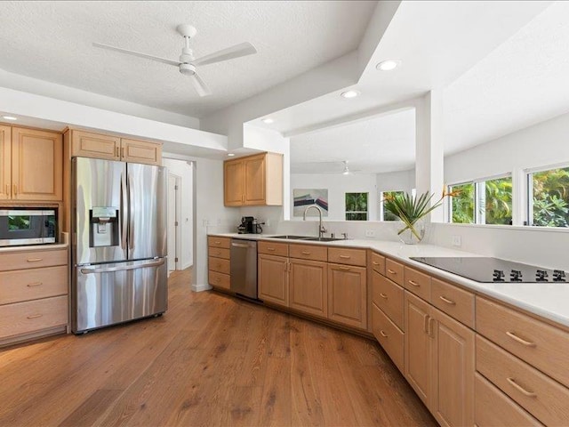 kitchen featuring ceiling fan, sink, light wood-type flooring, a textured ceiling, and stainless steel appliances