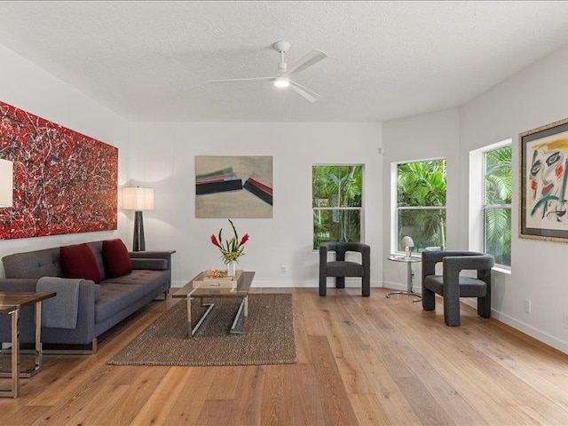 living area featuring ceiling fan, a textured ceiling, and light hardwood / wood-style flooring