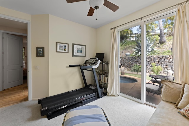 exercise room featuring ceiling fan and carpet