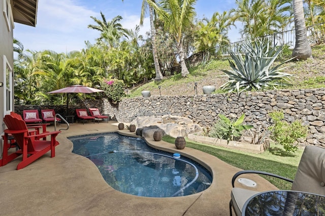 view of swimming pool featuring a patio